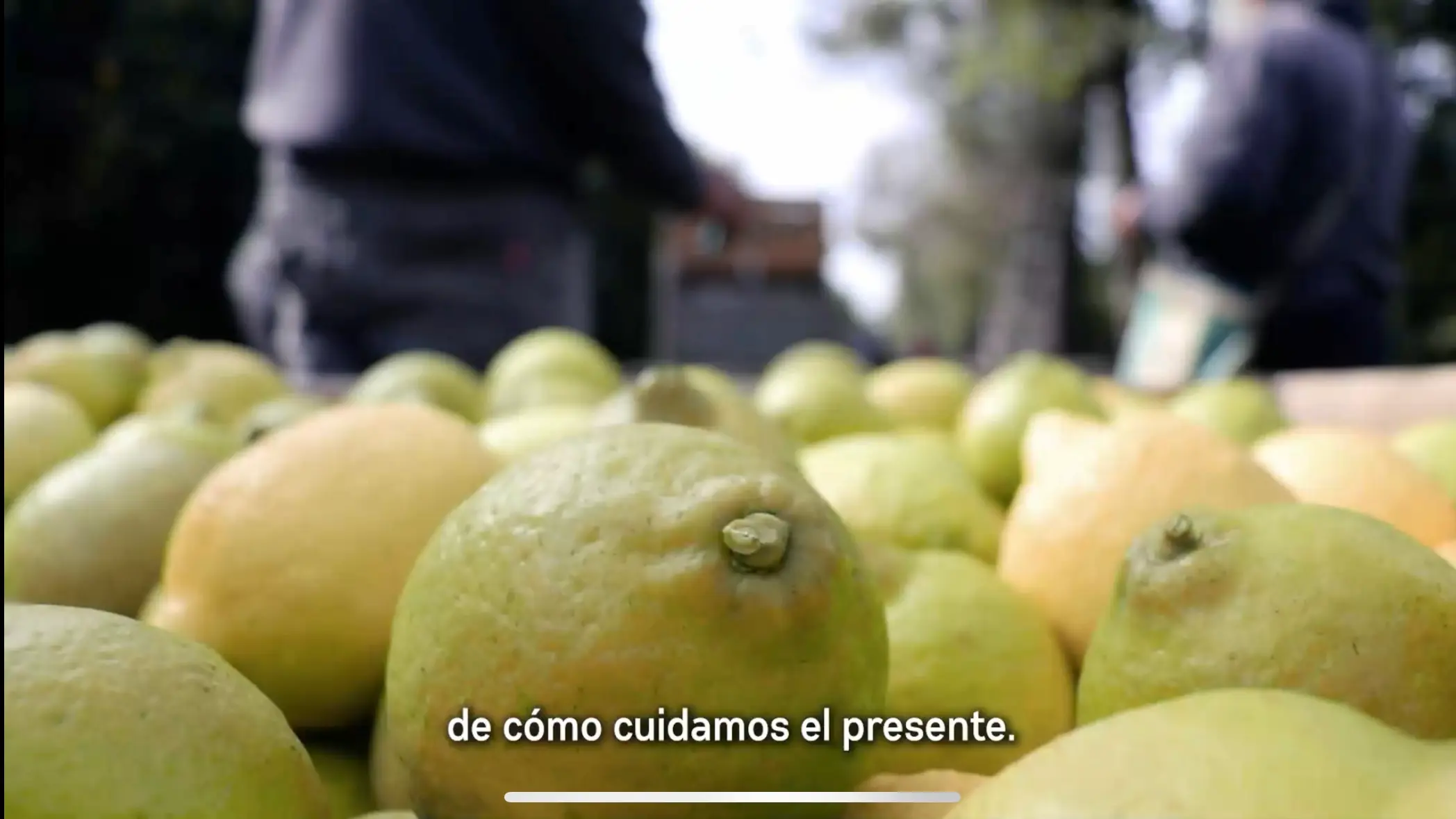 ¿qué nos hace diferentes?