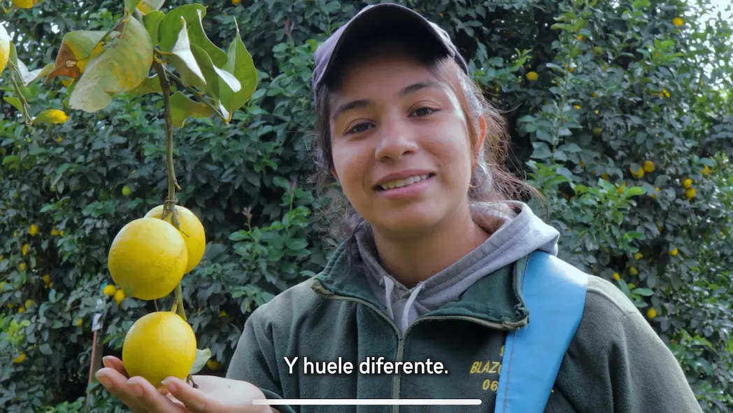 ¿qué nos hace diferentes?